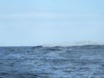 DSCF4034.JPG