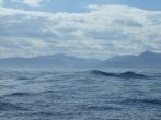DSCF3978.JPG