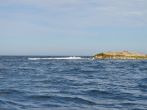 DSC_4480.JPG