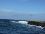 DSCF3803.JPG