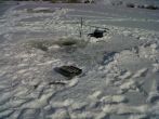 IMG00775-20120211-1204.jpg