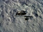 IMG00782-20120211-1221.jpg