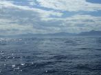 DSCF3973.JPG