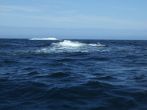 DSCF3868.JPG
