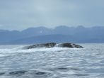 DSCF3994.JPG