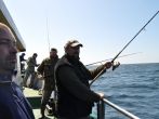 DSC_1599.JPG