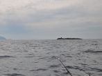 DSC_4478.JPG