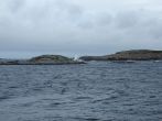 DSCF4061.JPG
