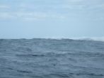 DSCF4023.JPG