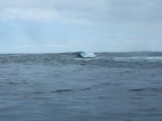 DSCF4014.JPG