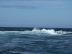 DSCF3835.JPG