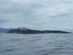 DSCF3989.JPG