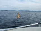 DSCF3757.JPG