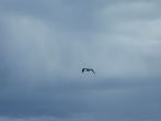 DSCF3993.JPG