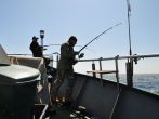 DSC_1600.JPG