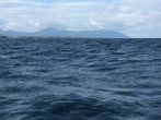 DSCF3810.JPG