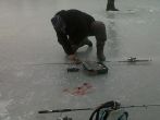 IMG00753-20120204-1215.jpg