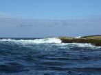 DSCF3806.JPG