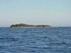 DSC_4454.JPG