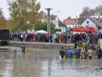 DSC_0917.JPG