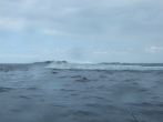 DSCF4015.JPG