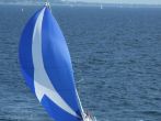 DSCF3720.JPG
