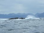 DSCF3987.JPG